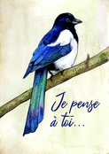 Un oiseau pour te dire bonjour